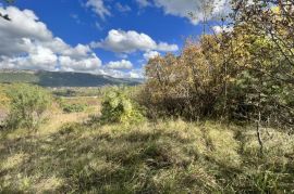 GRAĐEVINSKO ZEMLJIŠTE GOSPODARSKE NAMJENE - 16.900 m2, Buzet, Terreno