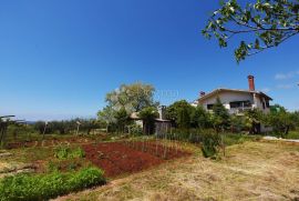 Stambeno-poslovna kuća sa 700 m okućnice, Poreč, Casa