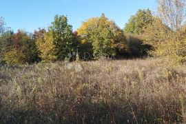 Šuma Smoljanci, Svetvinčenat, Terrain