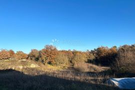 Građevinsko zemljište u središtu Istre, Kanfanar, Land