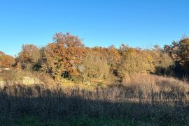 Građevinsko zemljište u središtu Istre, Kanfanar, Land