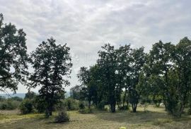 Djelomično izgrađena kuća u oazi mira i dva građevinska terena, Barban, Дом