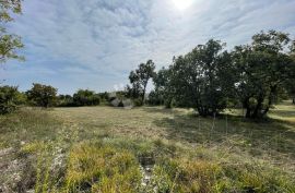 Predivno građevinsko zemljište, Barban, Terreno