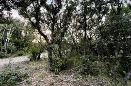 SNIŽENA CIJENA! Zemljište blizu mora i Peruški, Marčana, Tierra