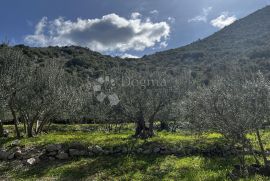 Građevinsko zemljište Pelješac, Trpanj, Tierra