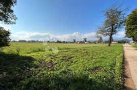 GRAĐE.ZEMLJIŠTE 16000m2 - cijelo/pola/trećina/ PRILIKA, Gospić, Land