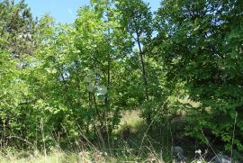 Cernik - teren za obiteljsku kuću, Čavle, Terra