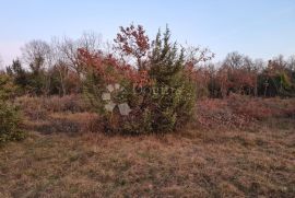 Prostrano zemljište za uživanje u prirodi, Svetvinčenat, Terrain