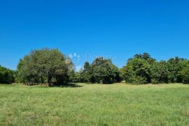 Prostrano poljoprivredno zemljište u okolici Barbana, Barban, Terreno