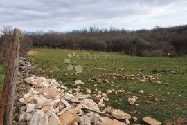 Poreč građevinsko zemljište u blizini mora, Poreč, Terrain