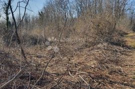 Građevinsko zemljište u okolici istarskog grada Pazina, Pazin, Zemljište