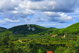 Poljoprivredno zemljište Smokvica, Smokvica, Земля