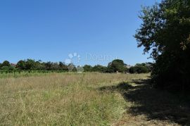 Kaštelir - teren s pogledom na more !, Kaštelir-Labinci, Land