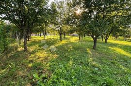 STAMBENO POSLOVNA NEKRETNINA SA 1000M2 GRAĐEVINSKOG ZEMLJIŠTA !!, Gospić, House