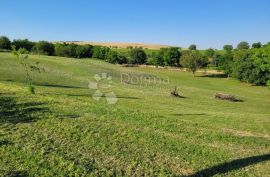 ZMAJEVAC PREKRASNO IMANJE S VINSKIM PODRUMOM, RESTORANOM, GOLF TERENOM, Kneževi Vinogradi, Εμπορικά ακίνητα