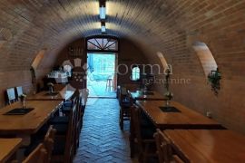 ZMAJEVAC PREKRASNO IMANJE S VINSKIM PODRUMOM, RESTORANOM, GOLF TERENOM, Kneževi Vinogradi, Εμπορικά ακίνητα