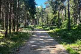 SEOSKO IMANJE 2KUĆE 3 POMOĆNA OBJEKTA 10000M2 U SRCU PRIRODE KLANAC, Gospić - Okolica, Haus