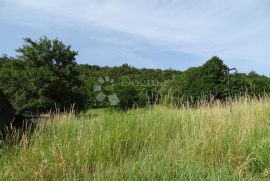 Ročko Polje - Pahori, poljoprivredni teren, Buzet, Terra