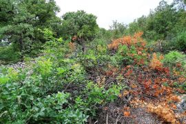 Šmrika - teren za obiteljsku kuću s pogledom na more, Kraljevica, Terreno