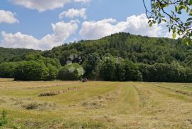 Žumberak, prostrano samoodrživo seosko imanje, 34000m2, Samobor - Okolica, Tierra