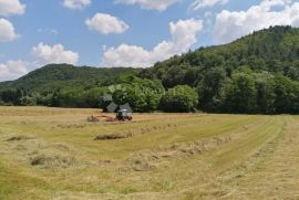 Žumberak, prostrano samoodrživo seosko imanje, 34000m2, Samobor - Okolica, Tierra