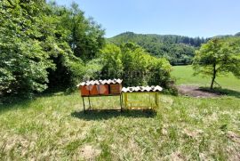 Žumberak, prostrano samoodrživo seosko imanje, 34000m2, Samobor - Okolica, Tierra