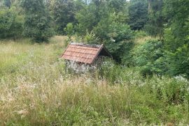 Kuća sa velikom okućnicom u Vrbovskom, Vrbovsko, Casa