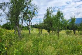 Kuća sa velikom okućnicom u Vrbovskom, Vrbovsko, Casa