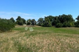 Zemljište Šegotići, Marčana, Land