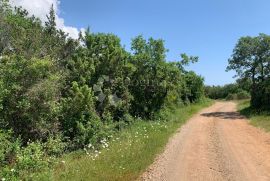 ROVINJSKO SELO - LIJEPO POLJOPRIVREDNO ZEMLJIŠTE, Rovinj, Land