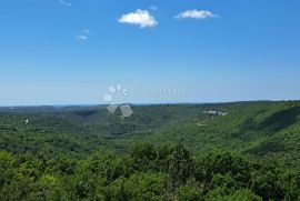 POLJOPRIVREDNO ZEMLJIŠTE KANFANAR 10 000 m², Kanfanar, Terreno