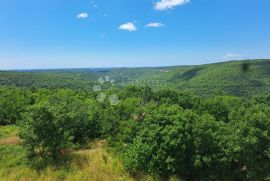 POLJOPRIVREDNO ZEMLJIŠTE KANFANAR 10 000 m², Kanfanar, أرض