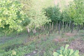 LUDBREB – VINOGRADI LUDBREŠKI GRAĐEVINSKO ZEMLJIŠTE I STARI VINOGRAD, Ludbreg, أرض