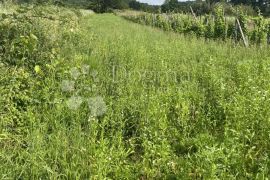 Predivno zemljište s pogledom, Novi Marof, Land