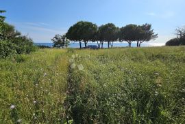 Ekskluzivno zemljište uz more blizu Savudrije s potencijalom za turistički kompleks i kamp, Umag, Arazi