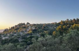 Vala Luka, poljoprivredno zemljište, Vela Luka, Terreno