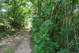 Saršoni - zemljište od 4000m2, Viškovo, Γη