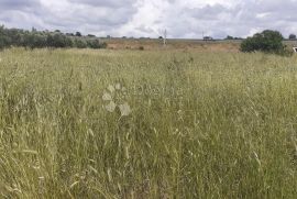 Bibinje- poljoprivredno zemljište na atraktivnoj lokaciji, Bibinje, Terrain