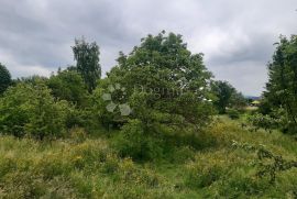 Kuća u Ogulinu sa tri etažirana stana i velikom okućnicom, Ogulin, Haus