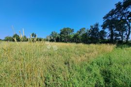 Poljoprivredno zemljište u Šišanu, Ližnjan, Terrain