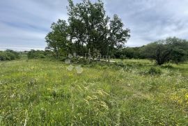 Poljoprivredno zemljište Loborika, Marčana, Terreno