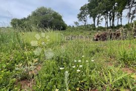 LOBORIKA- Poljoprivredno zemljište sa pristupnim putem, Marčana, Terreno