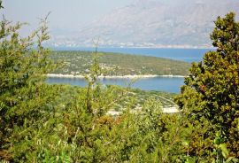 POLJOPRIVREDNO ZEMLJIŠTE KOTLINA, OTOK BRAČ, Selca, Tierra