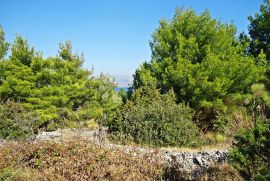 POLJOPRIVREDNO ZEMLJIŠTE KOTLINA, OTOK BRAČ, Selca, Tierra