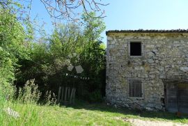 Ročko Polje - građevinska parcela sa starinom, Buzet, Terra