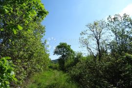 Ročko Polje - građevinska parcela sa starinom, Buzet, Terra