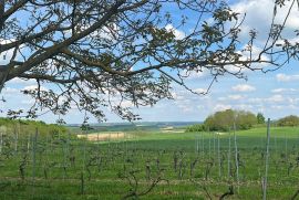 Vinograd sa vikendicom na odličnoj poziciji, Križevci, Arazi