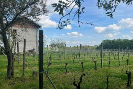 Vinograd sa vikendicom na odličnoj poziciji, Križevci, Arazi