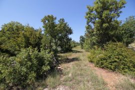 Građevinsko zemljište s pogledom na more, Maslenica, Jasenice, Terrain