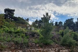 Korčula, poljoprivredno zemljište prvi red do mora, Korčula, Land